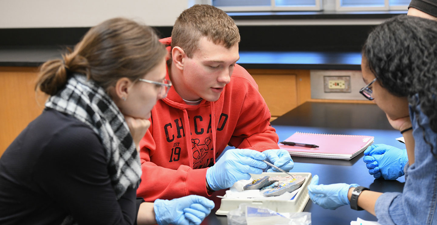 Premedical Professions Tracks