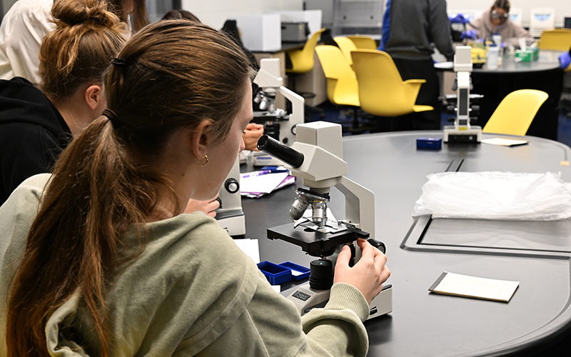 STEM students looking in a microscope.