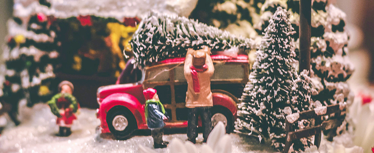 Father and son putting a Christmas tree on the roof of a car.