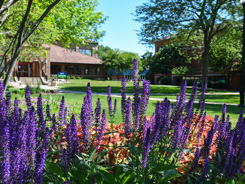 colorful flowers on the quad