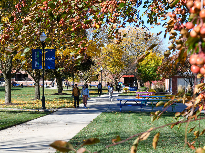 Freshman class sets enrollment record at AU