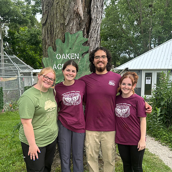 students interning at oaken acres wildlife rehabilitation center