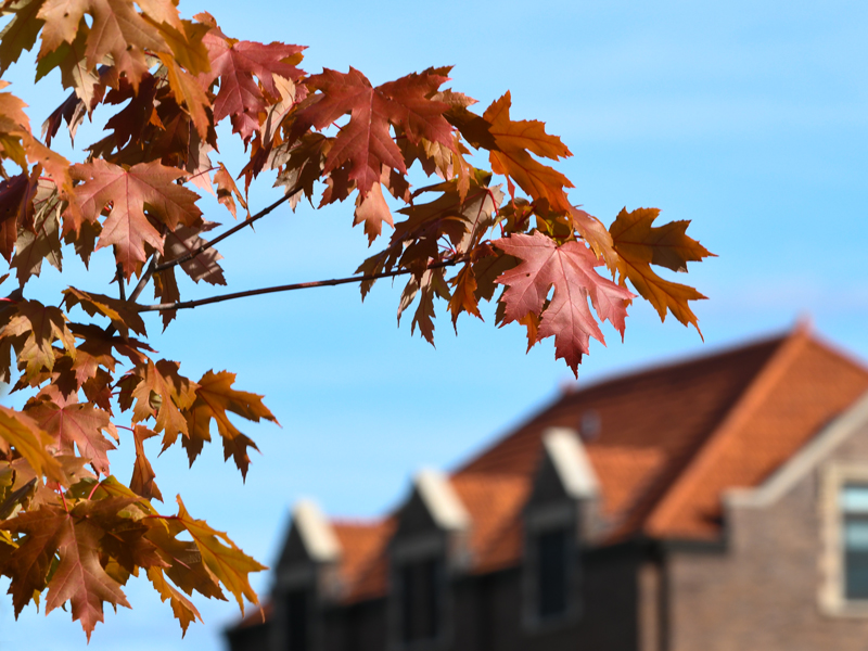 Fall at AU