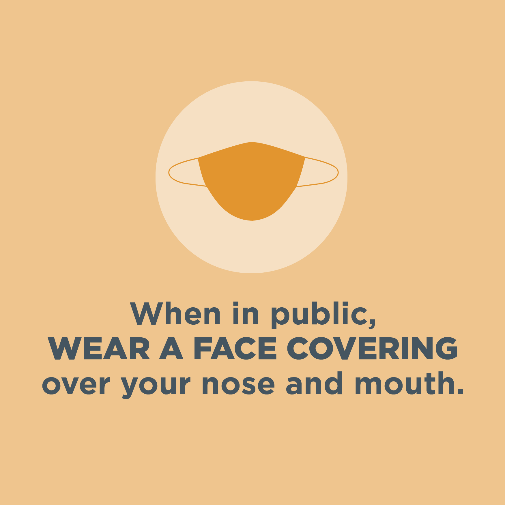 Infographic 4