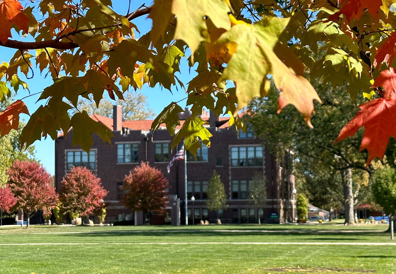 fall leaves around the quad outside of eckhart hall