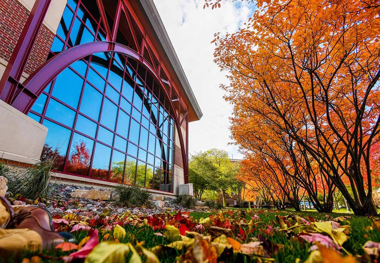 Fall Campus