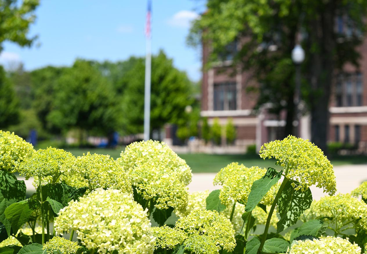 flag outside of eckhart